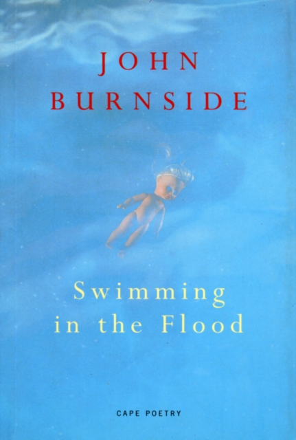 Swimming In The Flood, EPUB eBook