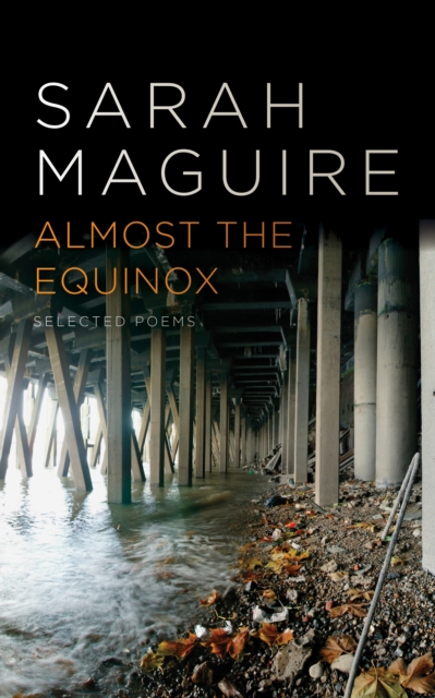 Almost the Equinox : Selected Poems, EPUB eBook