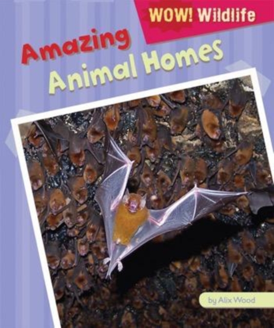 Amazing Animal Homes, PDF eBook