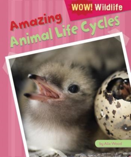 Amazing Animal Life Cycles, PDF eBook
