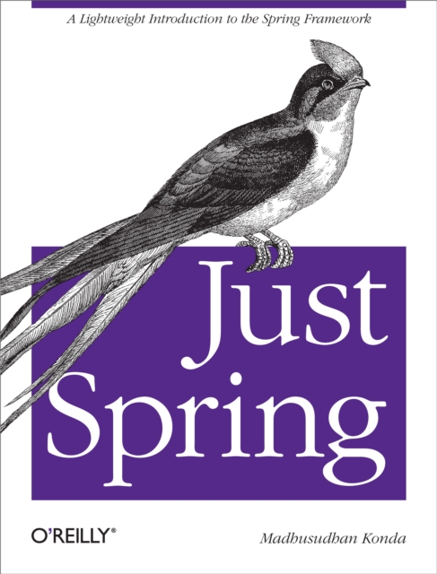 Just Spring : A Lightweight Introduction to the Spring Framework, EPUB eBook