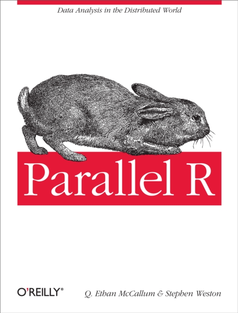 Parallel R : Data Analysis in the Distributed World, EPUB eBook