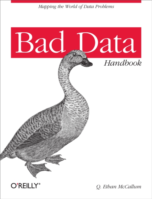 Bad Data Handbook : Cleaning Up The Data So You Can Get Back To Work, EPUB eBook