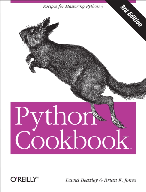 Python Cookbook : Recipes for Mastering Python 3, EPUB eBook