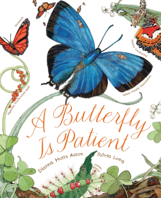 A Butterfly Is Patient, Paperback / softback Book