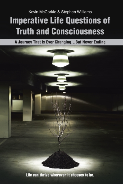 Imperative Life Questions of Truth and Consciousness : A Journey That Is Ever Changing...But Never Ending, EPUB eBook