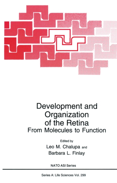 Development and Organization of the Retina : From Molecules to Function, PDF eBook