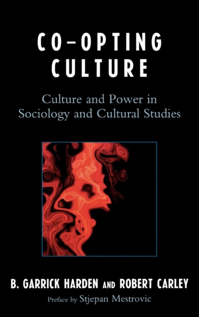 Co-opting Culture : Culture and Power in Sociology and Cultural Studies, EPUB eBook