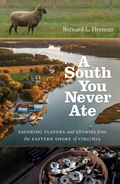 A South You Never Ate : Savoring Flavors and Stories from the Eastern Shore of Virginia, EPUB eBook
