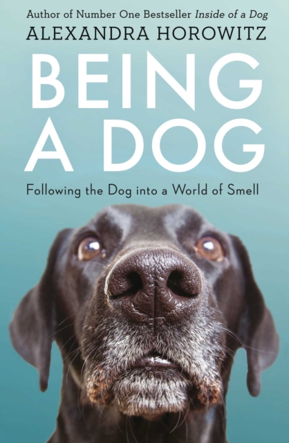 Being a Dog : Following the Dog into a World of Smell, EPUB eBook
