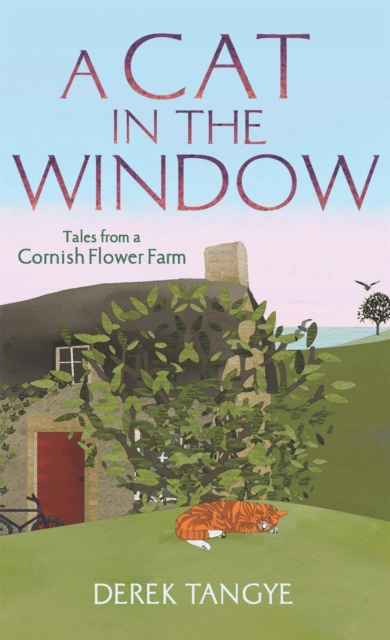 A Cat in the Window : Tales from a Cornish Flower Farm, Paperback / softback Book