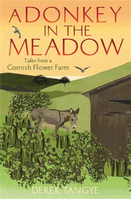 A Donkey in the Meadow : Tales from a Cornish Flower Farm, EPUB eBook