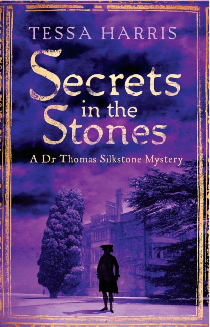 Secrets in the Stones : a gripping mystery that combines the intrigue of CSI with 18th-century history, EPUB eBook