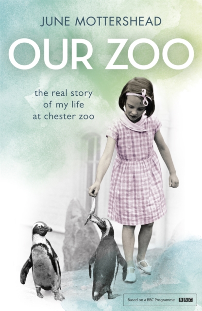 Our Zoo, Paperback / softback Book