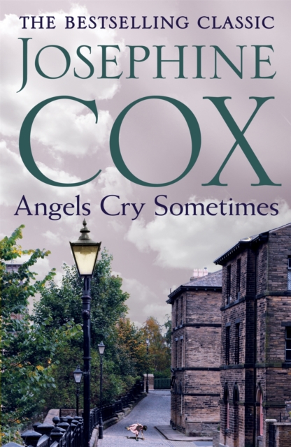 Angels Cry Sometimes : Her world is torn apart, but love prevails, Paperback / softback Book