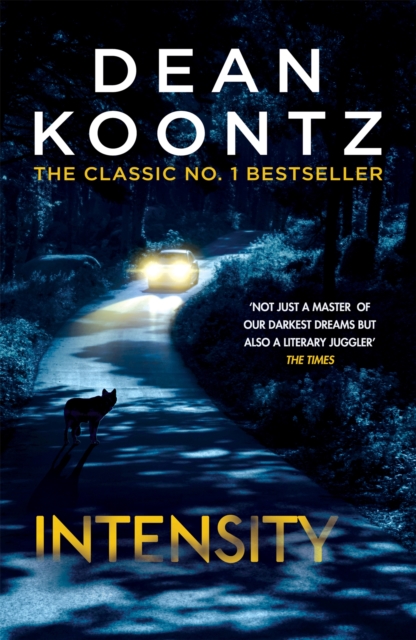 Intensity : A powerful thriller of violence and terror, Paperback / softback Book