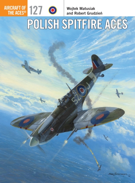 Polish Spitfire Aces, PDF eBook