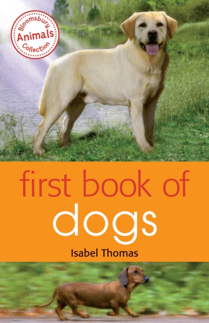 First Book of Dogs, Paperback / softback Book