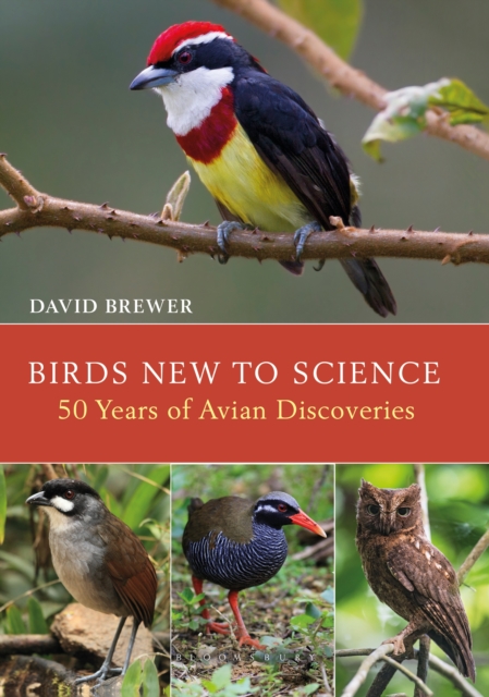 Birds New to Science : Fifty Years of Avian Discoveries, EPUB eBook