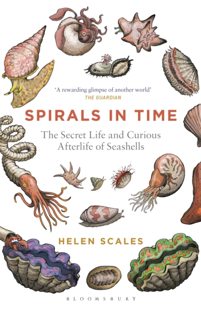 Spirals in Time : The Secret Life and Curious Afterlife of Seashells, Paperback / softback Book