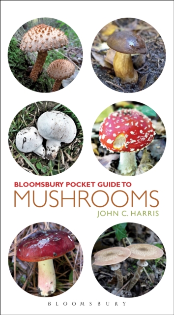Pocket Guide to Mushrooms, EPUB eBook