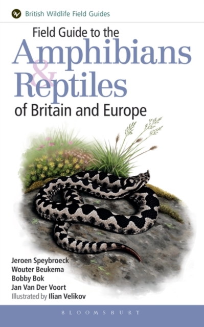 Field Guide to the Amphibians and Reptiles of Britain and Europe, PDF eBook