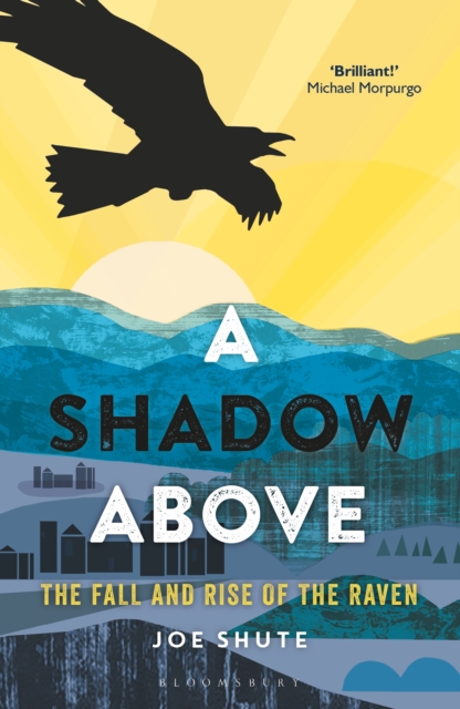 A Shadow Above : The Fall and Rise of the Raven, EPUB eBook