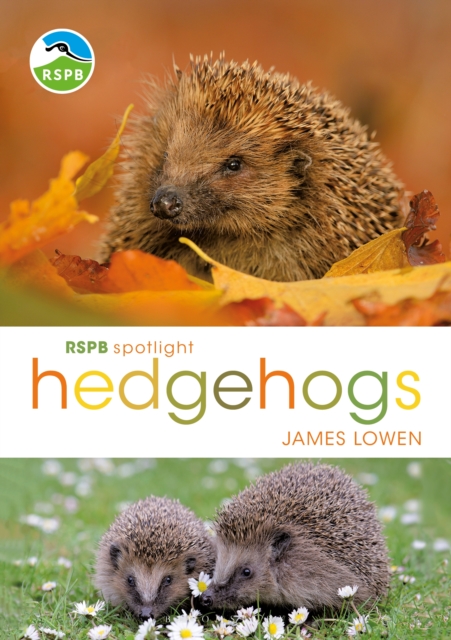 RSPB Spotlight Hedgehogs, PDF eBook