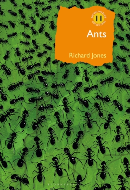 Ants : The ultimate social insects, Hardback Book