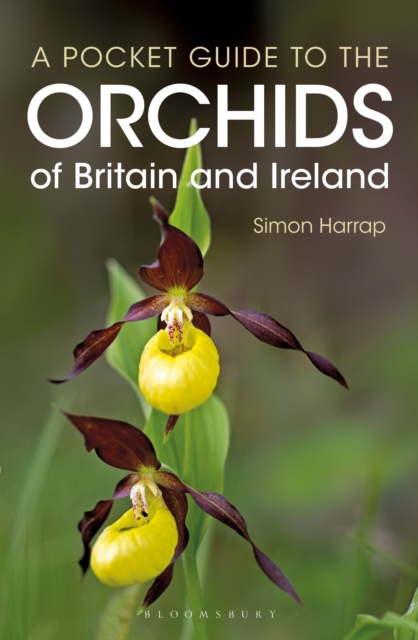 Pocket Guide to the Orchids of Britain and Ireland, Paperback / softback Book