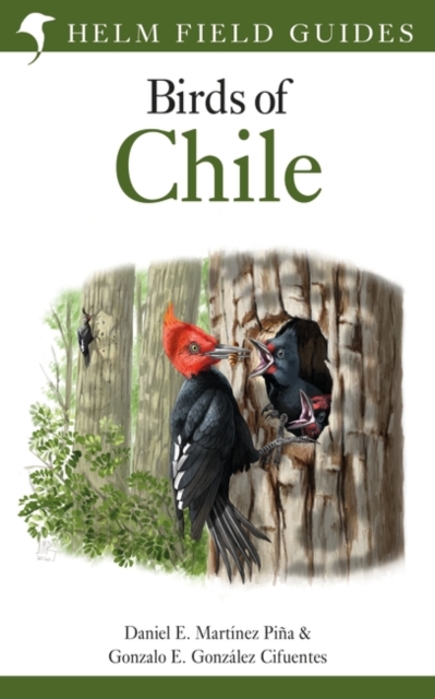 Field Guide to the Birds of Chile, Paperback / softback Book