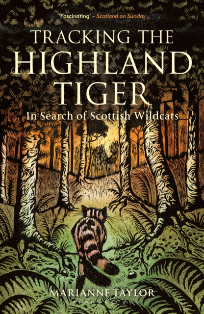 Tracking The Highland Tiger : In Search of Scottish Wildcats, PDF eBook