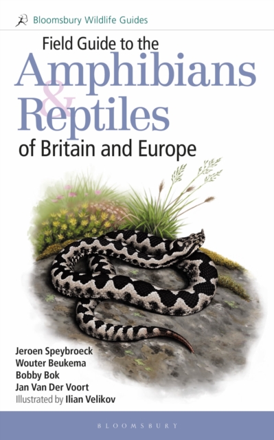 Field Guide to the Amphibians and Reptiles of Britain and Europe, Paperback / softback Book