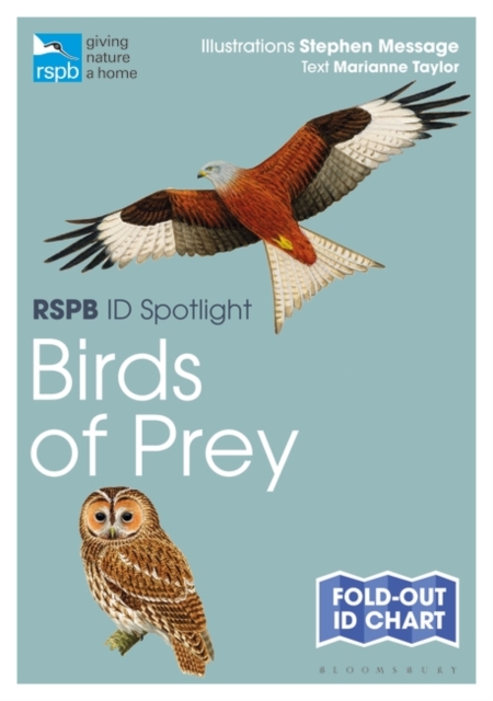 RSPB ID Spotlight - Birds of Prey, Fold-out book or chart Book