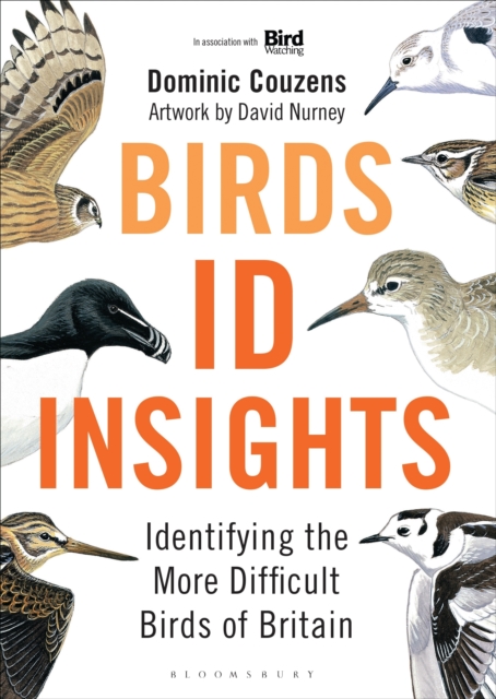 Birds: ID Insights : Identifying the More Difficult Birds of Britain, Hardback Book
