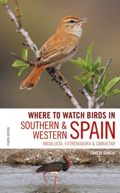 Where to Watch Birds in Southern and Western Spain : Andalucia, Extremadura and Gibraltar, PDF eBook