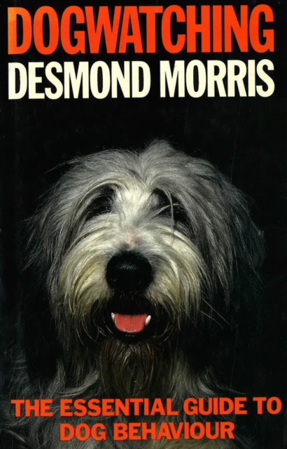 Dogwatching : The Essential Guide to Dog Behaviour, EPUB eBook