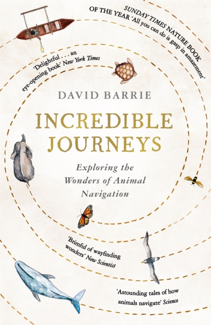 Incredible Journeys : Sunday Times Nature Book of the Year 2019, Paperback / softback Book