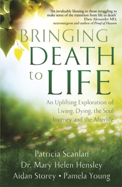 Bringing Death to Life : An Uplifting Exploration of Living, Dying, the Soul Journey and the Afterlife, Paperback / softback Book