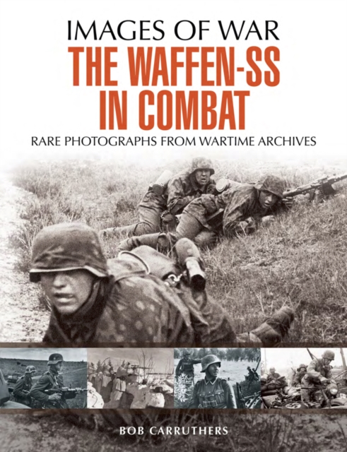 The Waffen-SS in Combat, PDF eBook
