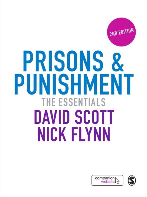 Prisons & Punishment : The Essentials, PDF eBook