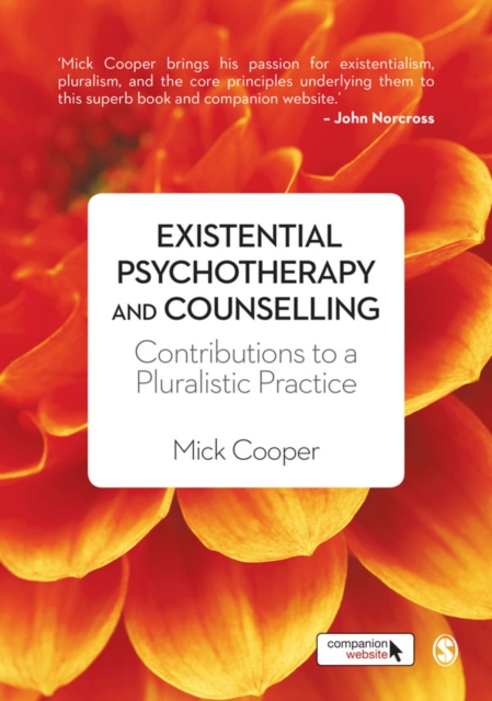 Existential Psychotherapy and Counselling : Contributions to a Pluralistic Practice, EPUB eBook