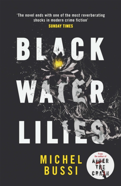 Black Water Lilies : 'A dazzling, unexpected and haunting masterpiece' Daily Mail, Paperback / softback Book