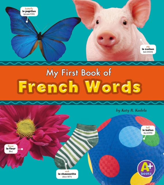 French Words, PDF eBook