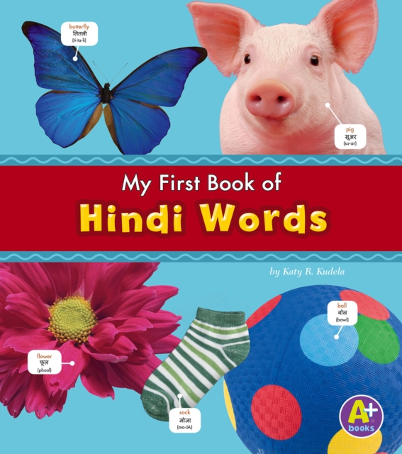 Hindi Words, PDF eBook