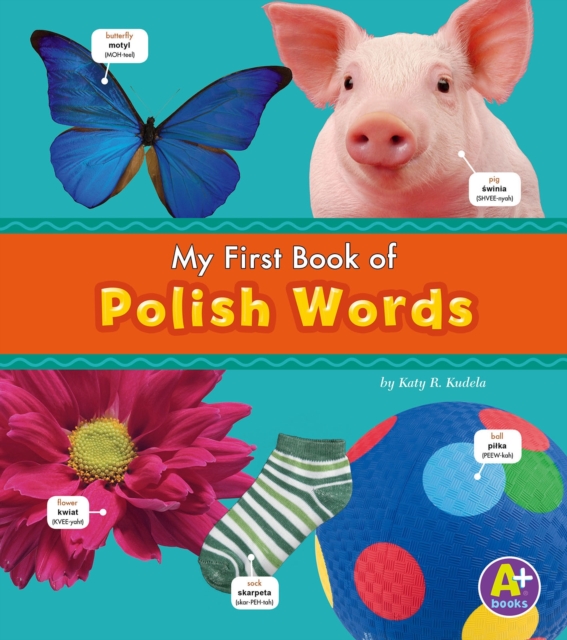 Polish Words, PDF eBook