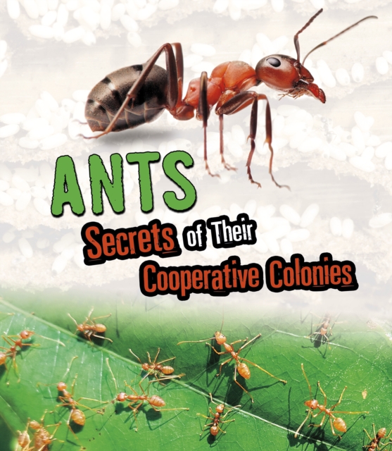 Ants, PDF eBook