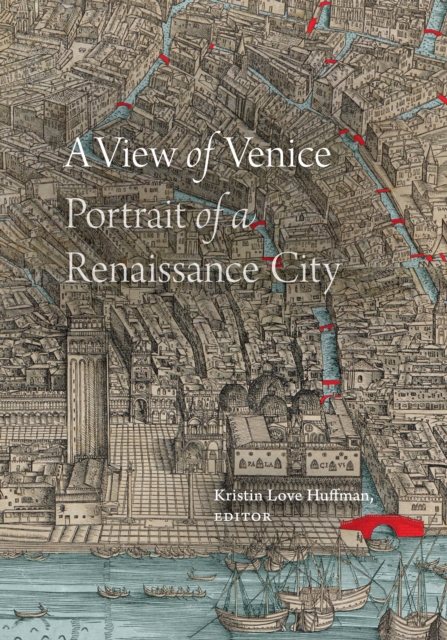 A View of Venice : Portrait of a Renaissance City, PDF eBook