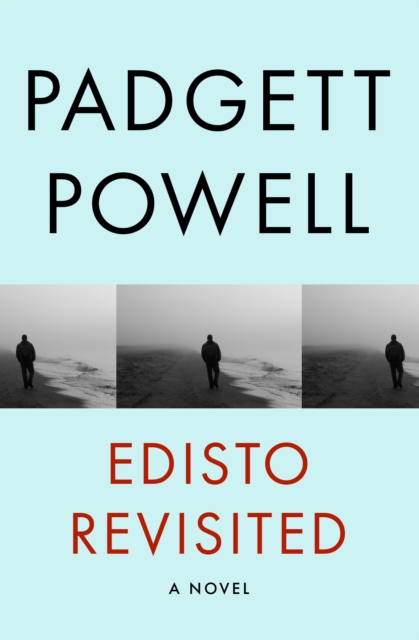 Edisto Revisited : A Novel, EPUB eBook
