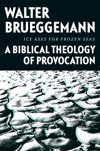 Ice Axes for Frozen Seas : A Biblical Theology of Provocation, EPUB eBook